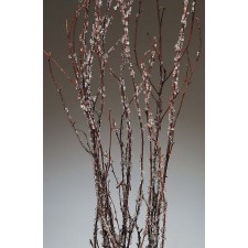 ICED BIRCH BRANCH 4/BUN