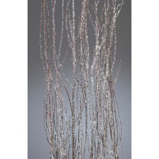 BIRCH BRANCHES WINTER