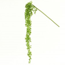 30"HANGING SUCCULENT SPRAY