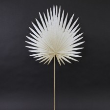 30"FAN PALM SPRAY BEIGE