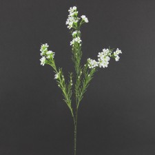 27" WAX FLOWER SPRAY X3 WHITE