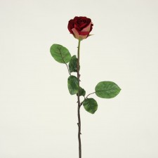 24"VELVET ROSE BUD SPRAY
