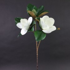 28"MAGNOLIA SPRAY WHITE