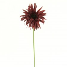 19"SPR GER DAISY SPRY B5 A4
