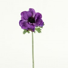15" ANEMONE SPRAY X1 EDGED