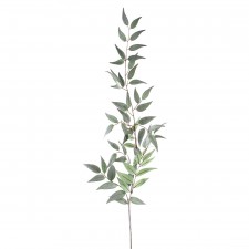 36"ITALIAN RUSCUS LEAF SPRAY