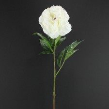 30"ICED PEONY SPRAY WHITE