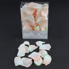 ROSE PETAL 250/BX BLUSH