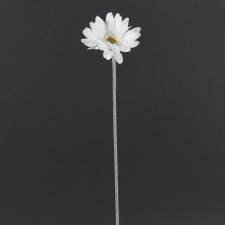 22.5"ROYAL GERBERA DAISY B2