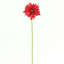 27"GERBERA DAISY SPR A4