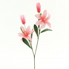TIGER LILY SPRY PINK A4