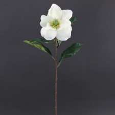 28.5" MAGNOLIA SPRAY CRM/WH