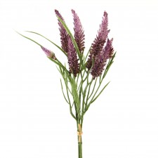 13"NARROWLEAF CLOVER X3 PURPLE