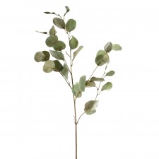 35"EUCALYPTUS SPRAY GRN/GRAY