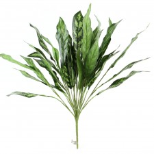 28"SILVER QUEEN PLANT DK.GRN