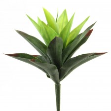 11"AGAVE PLANT GREEN