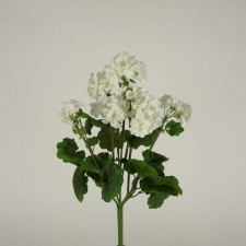 18" GERANIUM BUSH X5 WHITE