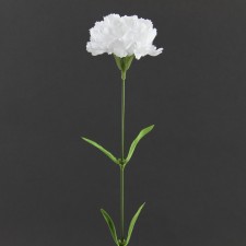 17"LG CARNATION SPRAY B3