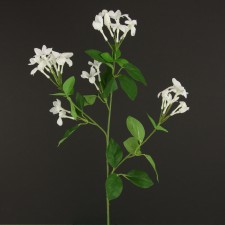 27"JEWEL STEPHANOTIS SPRAY