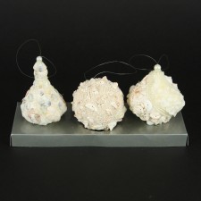 10"X4.5"SEASHELL ORNA 3PC/BX