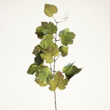30"GL VEL GRAPE LF SPRAY GREEN