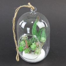 8"GL HG/SUCC.GRDN IN TUBE M25