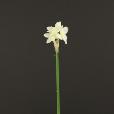 18" PAPER WHITE SPRAY WHITE