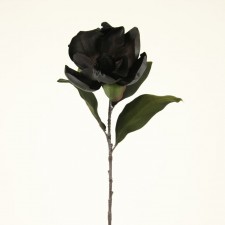 29.5" MAGIC MAGNOLIA SPRAY BLA
