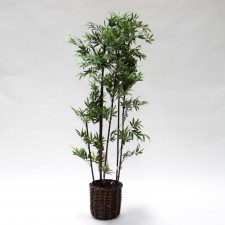 4' MINI BLACK BAMBOO TREE