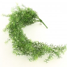 30"SPRENGERI HNG BUSH GRN