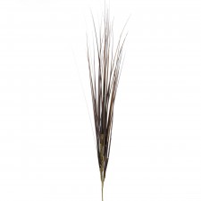 31"ONION GRASS SPRAY X5 A25
