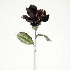30"GB VEL MAGNOLIA SPRAY