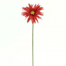 19" SPI GER DAISY X1 RED B5