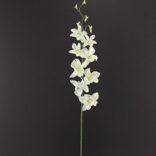 30" DENDROBIUM SPRAY X1 CR/WH