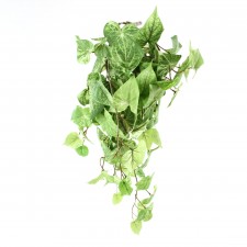 30"POTATO LEAF HANGING BUSH