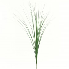 28" ONION GRASS SPRAY X36