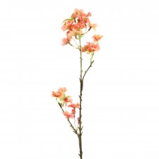 22"CHERRY BLOSSOM SPRY A4