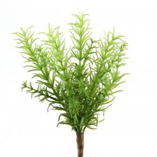 11"ROSEMARY BUSH GREEN
