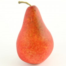 4.5" PEAR RED/YEL