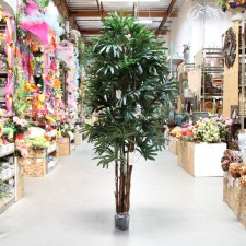 8' RHAPIS TREE X7 TT.GREEN