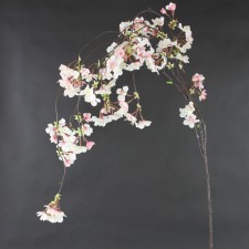 58"CHERRY BLOSSOM HNG SPRAY