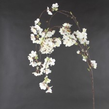 58"CHERRY BLOSSOM HNG SPRAY