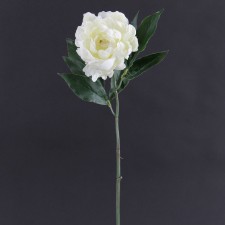 18.5" PEONY SPRAY CREAM