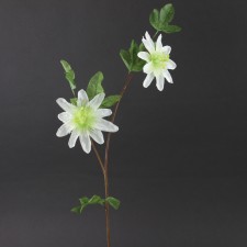 25"PASSION FLOWER SPRY A4