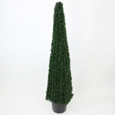 4.5' BOXWOOD CONE TOPIARY