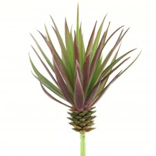 7.8"MARGINATA PICK RED/GRN