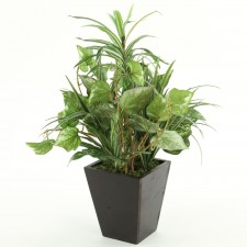 22"CROTON/BAMBOO/IVY POTTED