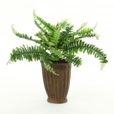 16" GARDEN FERN POTTED
