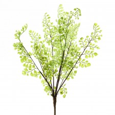 16.5"MAIDENHAIR FERN BUSH