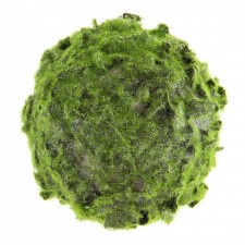 6" MOSS ORB ORNA
